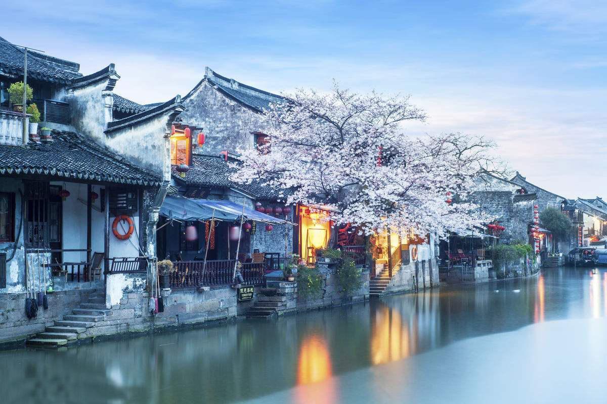 逃离诡异之林